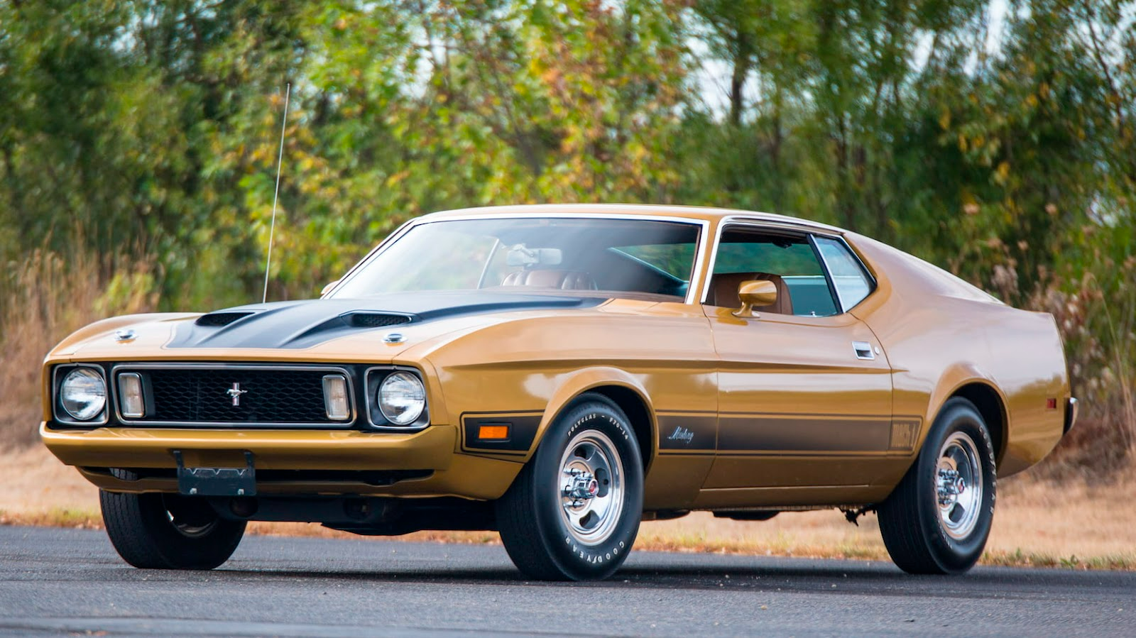 Форд мач. Форд Мустанг 1973. Форд Мустанг Mach 1 1973. Ford Mustang Mach 1. Форд Мустанг 73 года.